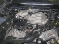 2003 Mustang V6 Coupe #28