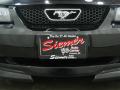 2001 Mustang Roush Stage 1 Coupe #9