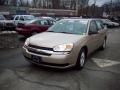 2005 Malibu LS V6 Sedan #1