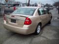 2005 Malibu LS V6 Sedan #5