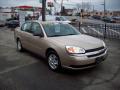 2005 Malibu LS V6 Sedan #7