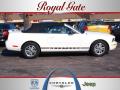 2005 Mustang V6 Premium Convertible #1
