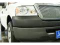 2007 F150 XL Regular Cab #3