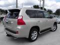 2010 GX 460 #7