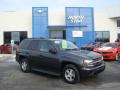 2006 TrailBlazer LS 4x4 #1