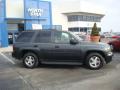 2006 TrailBlazer LS 4x4 #2