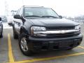 2002 TrailBlazer LS #2