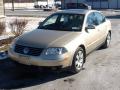 2002 Passat GLX 4Motion Sedan #2 2002 Passat GLX 4Motion Sedan #2