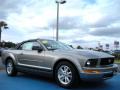 2008 Mustang V6 Deluxe Convertible #7