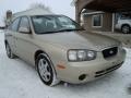 2001 Elantra GLS #2