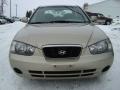 2001 Elantra GLS #4