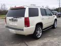 2007 Escalade AWD #5
