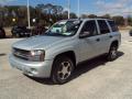 2007 TrailBlazer LS #1