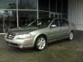 2002 Maxima SE #18