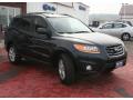 2010 Santa Fe SE #5