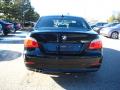 2010 5 Series 528i xDrive Sedan photo #4