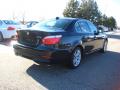 2010 5 Series 528i xDrive Sedan photo #5