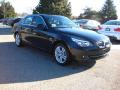 2010 5 Series 528i xDrive Sedan photo #7