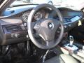 2010 5 Series 528i xDrive Sedan photo #9