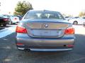 2010 5 Series 528i xDrive Sedan #4
