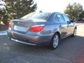 2010 5 Series 528i xDrive Sedan #5