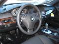 2010 5 Series 528i xDrive Sedan #9
