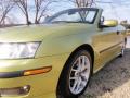 2004 9-3 Aero Convertible #15
