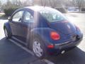1999 New Beetle GLS Coupe #4