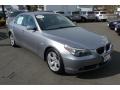2007 5 Series 530i Sedan #2