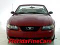 2004 Mustang V6 Convertible #5