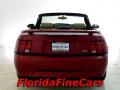 2004 Mustang V6 Convertible #6