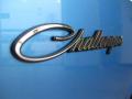 2010 Challenger R/T Classic #5