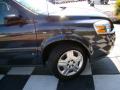 2008 Uplander LS #31