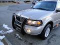 2002 Navigator Luxury 4x4 #16