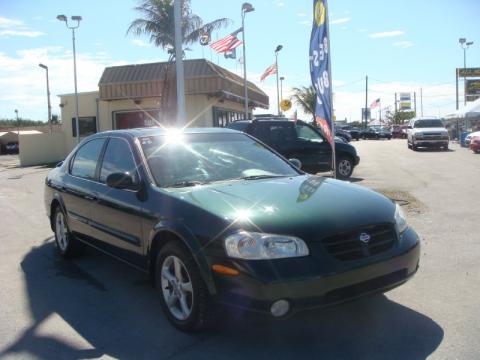 Sherwood Green Metallic Nissan Maxima SE.  Click to enlarge.