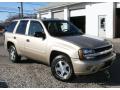 2006 TrailBlazer LS 4x4 #3