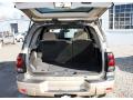 2006 TrailBlazer LS 4x4 #7