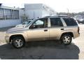 2006 TrailBlazer LS 4x4 #9
