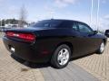 2010 Challenger SE #3
