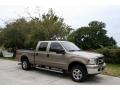 2005 F250 Super Duty Lariat Crew Cab 4x4 #13