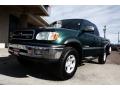 2002 Tundra SR5 Access Cab 4x4 #14