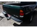 2002 Tundra SR5 Access Cab 4x4 #17