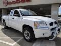 2008 Raider LS Extended Cab #1