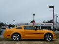 2008 Mustang GT/CS California Special Coupe #6