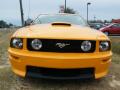 2008 Mustang GT/CS California Special Coupe #8