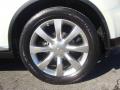 2006 FX 35 AWD #25