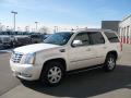 2009 Escalade AWD #3 2009 Escalade AWD #3
