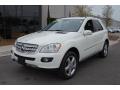 2008 ML 350 4Matic #13