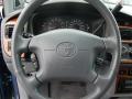 1999 Sienna XLE #19