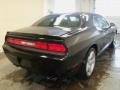 2010 Challenger R/T #9